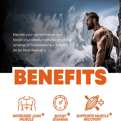 Turkesterone + Tongkat Ali Complex – Natural Testosterone & Vitality Booster for Men | TurkesteroneGo™